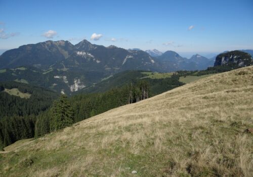 Beweidung und Artenvielfalt sind keine Gegensätze