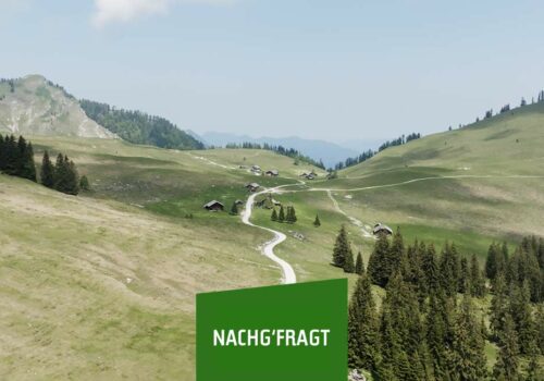 Was unsere Almen attraktiv macht