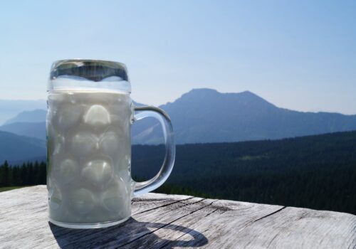 Milch-Fakten: Alles was ihr über MILCH schon immer wissen wolltet